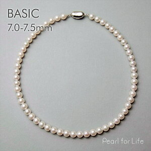 yWEBzsBASICt^ lbNX 7.0-7.5mm p[lbNX  w Ǝ  