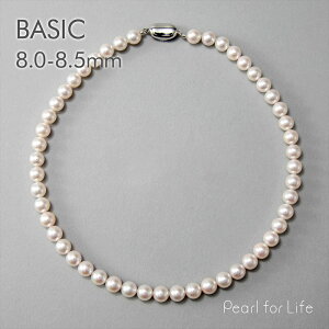 yWEBzsBASICt^ lbNX 8.0-8.5mm p[lbNX  w Ǝ  