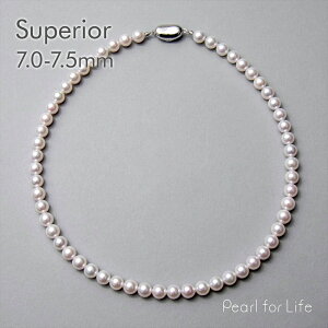 yWEBzsSuperiort^ lbNX 7.0-7.5mm p[lbNX  w Ǝ  