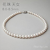 楽天市場】オーロラ天女 8－8．5の通販