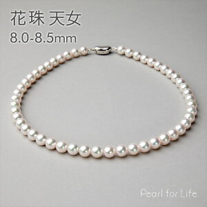 I[V lbNX@8.0-8.5mm p[lbNX ӕʏt tH[}  w Ǝ  