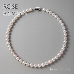 ^ lbNX@8.5-9.0mm -I[[- p[lbNX  w Ǝ  