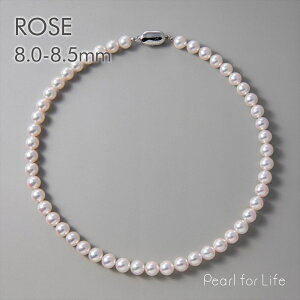 ^ lbNX@8.0-8.5mm-I[[- p[lbNX  w Ǝ  