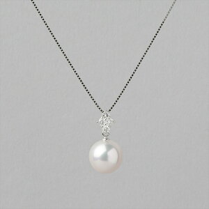 sPREMIUMtI[Ԏ^ y_g 8.0-8.5mm PT900/850 ӕʏt p[lbNX tH[} 