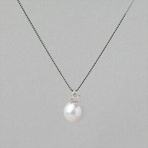 sPREMIUMtI[Ԏ^ y_g 7.5-8.0mm PT900/850 ӕʏt p[lbNX tH[} 