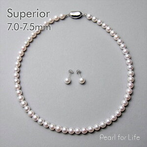 yWEBzsSuperiort^ lbNXZbg@7.0-7.5mm p[lbNX sAX CO tH[} Ձyz w Ǝ  