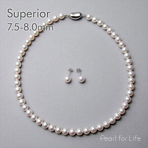 ytFAT2tzyWEBzsSuperiort^ lbNXZbg 7.5-8.0mm p[lbNX sAX CO tH[} Ձyz w Ǝ  