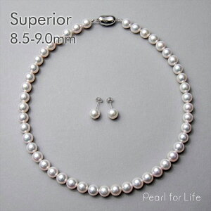 ytFAT2tzyWEBzsSuperiort^ lbNXZbg 8.5-9.0mm p[lbNX sAX CO tH[} Ձyz w Ǝ  