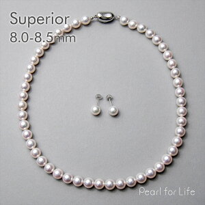 ytFATtzyWEBzsSuperiort^ lbNXZbg 8.0-8.5mm p[lbNX sAX CO tH[} Ձyz w Ǝ  