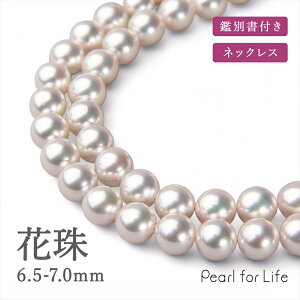 Ԏ^ lbNX 6.5-7.0mm ӕʏt p[lbNX tH[}  w Ǝ  