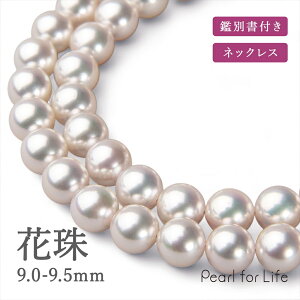 Ԏ^ lbNX 9.0-9.5mm ӕʏt p[lbNX tH[}  w Ǝ  