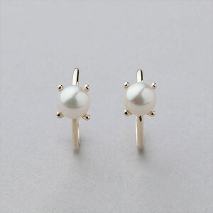 sCarinat^ t[vsAX 5.5-6.0mm K10YG p[sAX xr[p[ ig JWA