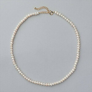 yWEBzW^ lbNX 4.0-5.0mm zCg/O[ p[lbNX JWA igsDebutt