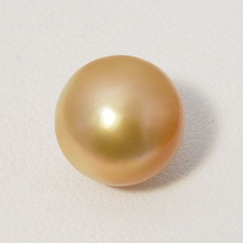 南洋白蝶真珠 パールルース（シングル） ゴールド(ナチュラル)系 10.0mmUP AAB ラウンド （無穴）[n4]（真珠 パールセミオーダー  加工用） | 真珠の卸屋さん