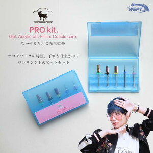 yȂ܂搶ďCIz PRO kit.@vLbg