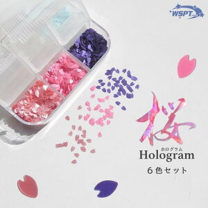 �y�Ȃ���܂������搶�������߁I�z ���z���O�����@6�F�Z�b�g�@SAKURA Hologram