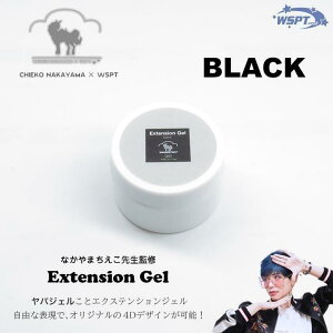 yȂ܂搶ďCIz VF GNXeVWF ubN@SyWF@NCWF@oWF