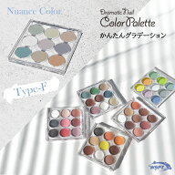 WSPT ドラマティックネイルカラーパレット 9色入り　チップ9本付