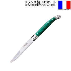 【メール便で送料無料】_ラギオール テーブルナイフ グリーン フランス製 ステンレス マーブル模様持ち手 AD2【RCP】