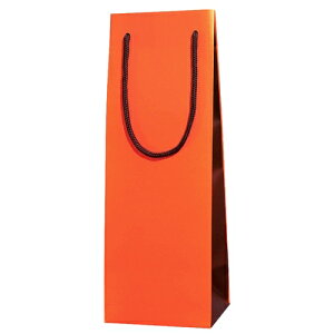 yz_10Zbg ϔ胏C{g 񂰑 uCgobO AD3yRCPz