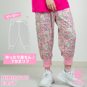 clap Nbv HIBISCUS EASY tBbglXEFA X|[c g[jO fB[X _X GA Xgb` hC  u 킢  yX z { nCrXJX 