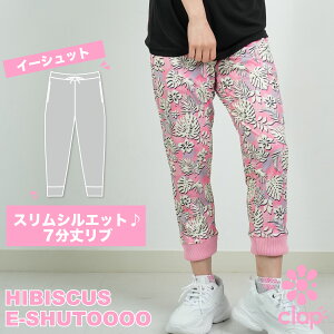 clap Nbv HIBISCUS E-SHUTOOOO tBbglXEFA X|[c g[jO fB[X _X GA Xgb` hC X  u 킢  yX z { 