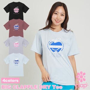 clap10V Nbv 4F×2TCY BIG CLAPPLE DRY Tee fB[X _X gbvX TVc tBbglXEFA _XEFA X|[cEFA gbvX seBXEFA KEFA X[Xh