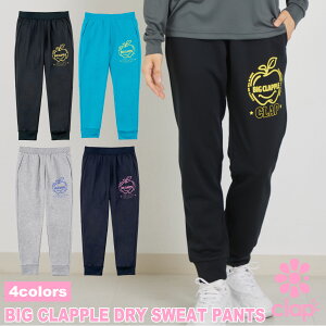 clap10V Nbv 4F BIG CLAPPLE DRY SWEAT PANTS tBbglXEFA X|[c g[jO fB[X _X GA Xgb` Opc 킢  hCXEFbg 