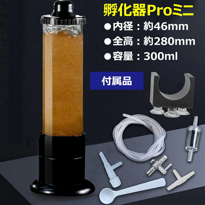 スーパーセール ブラインシュリンプ孵化器 Recantosolasol Com Br