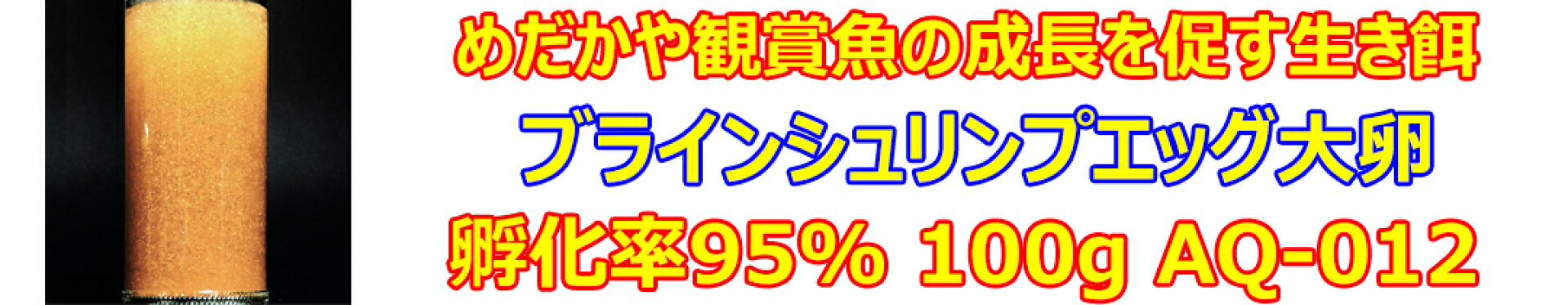 大卵