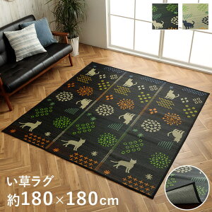 NS͂Ȃ˂  O J[ybg JWA L lR L a rO ~ ȒP  RۖhL  L C ɂ 180×180cm 180×240cm ubN a _ 