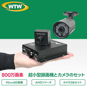 AHD�����^�^��@ 800����f ���O �h���[������ �s�@�����Ď� 1TB 512GB×2 MicroSD�J�[�h�^�� �h�ƃJ���� HDMI�Ή� �~�jDVR�ƃJ����1�`2��Z�b�g �ԏ�r�炵 WTW �˖{����