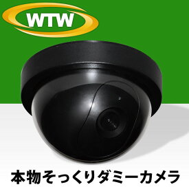 防犯 監視 ダミーカメラ WTW-DMD108