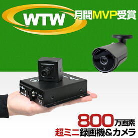 WTW 塚本無線 防犯カメラ 800万画素 屋外 ドローン搭載 不法投棄監視 1TB 512GB×2 SDカード録画 HDMI対応 ミニDVRとカメラ1～2台セット 車上荒らし