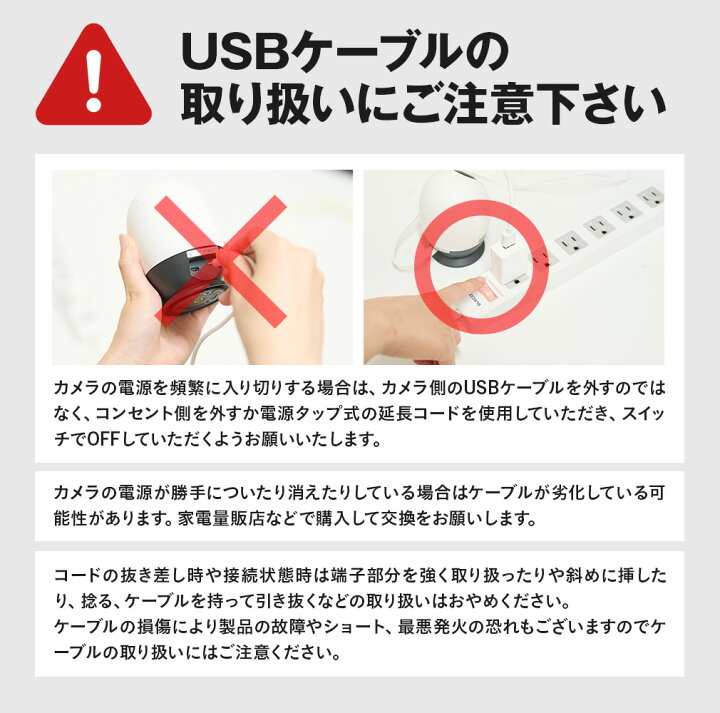 楽天市場】【業務用 法人向け クラウド 500万画素 屋内カメラ】みてる 
