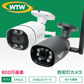WTW 塚本無線 防犯カメラ 防犯灯カメラ 夜間カラー ワイヤレス 屋外 800万画素 バレット型 家庭用 監視カメラ 屋外用防犯カメラ 会話 IPカメラ ネットワークカメラ MicroSDカード録画 マイク内蔵 防水防塵 夜間撮影 留守 EAGLE 録画機能付き