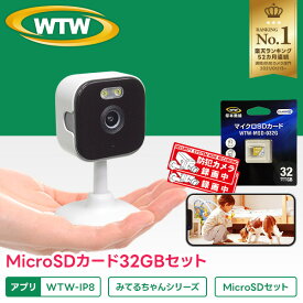 【SD32GB+ステッカーセット】みてるちゃんシリーズ ペット カメラ 見守りカメラ 猫 子猫 留守番 楽天1位 ワイヤレス 防犯カメラ 家庭用 ペットカメラ ベビー 留守 屋内用 SDカードスマホ 無線 子供 みまもりカメラ WTW-IP8 ペットモニター 塚本無線