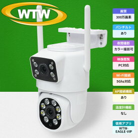 防犯カメラ 玄関灯カメラ 360°PTZ首振 超強力ホワイトLED ワイヤレス 屋外 防犯灯カメラ 400万画素 wi-fi パンチルト 家庭用 監視カメラドーム 屋外用 会話 IP ネットワークカメラ 夜間カラー マイク 留守 車上荒らし 高コスパ WTW 塚本無線