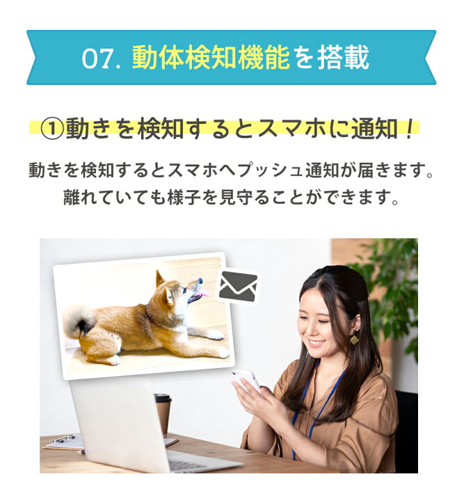 楽天市場 ペットカメラ 180度広角カメラ付自動給餌器 自動餌やり器 犬猫ごはん タイマー自動 コンセント給電可 スマホ 留守 犬 猫 餌 えさ 自動えさやり機 自動餌やり機 自動餌やり機 送料無料 旅行 Wtw 塚本無線