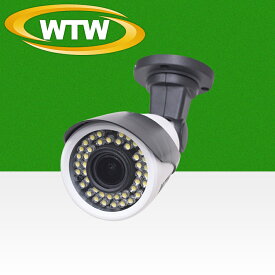 EX-SDI/HD-SDIマルチシリーズ 屋外仕様 防犯灯カメラ WTW-EHW187Y