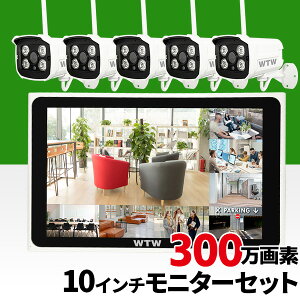 ԊOJ10C`j^[ 300f5Zbg 1TB WTW-TNV2280LS-5S