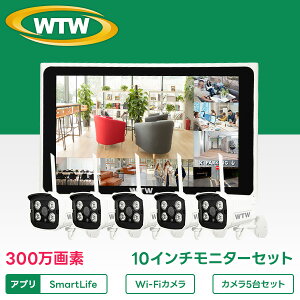 �ԊO���J������10�C���`���j�^�[ 300����f5��Z�b�g 1TB���� WTW-TNV2280LS-5S