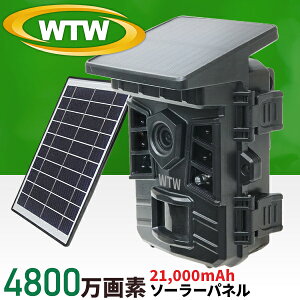 y2025NŐV AP[h MicroSD512GBΉ dr쓮\[[[dzWTW ˖{ hƃJ gCJ Ԙ^ \[[pľ^ SDJ[h^ ƒp  O ĎJ 