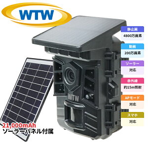 y2025NŐV AP[h MicroSD512GBΉ dr쓮\[[[dzWTW ˖{ hƃJ gCJ Ԙ^ \[[pľ^ SDJ[h^ ƒp  O ĎJ 