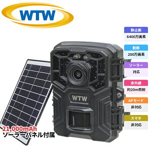 y2025NŐV MicroSD128GBΉ dr쓮\[[[dzWTW ˖{ hƃJ gCJ Ԙ^ \[[pľ^ SDJ[h^ ƒp  O ĎJ 掿 l