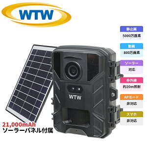 y2025NŐV AP[h MicroSD512GBΉ dr쓮\[[[dzWTW ˖{ hƃJ gCJ Ԙ^ \[[pľ^ SDJ[h^ ƒp  O ĎJ 