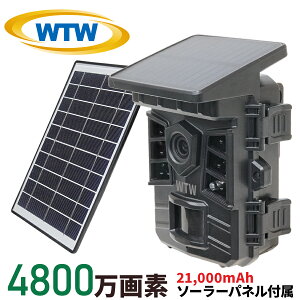 y2025NŐV AP[h MicroSD512GBΉ dr쓮\[[[dzWTW ˖{ hƃJ gCJ Ԙ^ \[[pľ^ SDJ[h^ ƒp  O ĎJ 