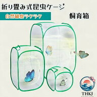 【全品5%ポイント】昆虫ケージ 昆虫飼育箱 ネット 飼育ケース バタフライケージ ネット型 通気性 繁殖 植…