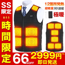電熱ベスト 超軽量 膨れない 大きいサイズ 40~120KG S~6XL スーツ 20000mAhバッテリー 12つヒーター 電熱インナー 電熱ウェア ヒーターべスト 前後独立制御 3段温度調整 Vネック メンズ レディース 父の日