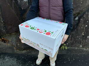 _\E11{`^Y ʂ݂ 2kgE4kgE8kg ƒpmikCEꏜjni{쑁EEΒnj ~J B݂